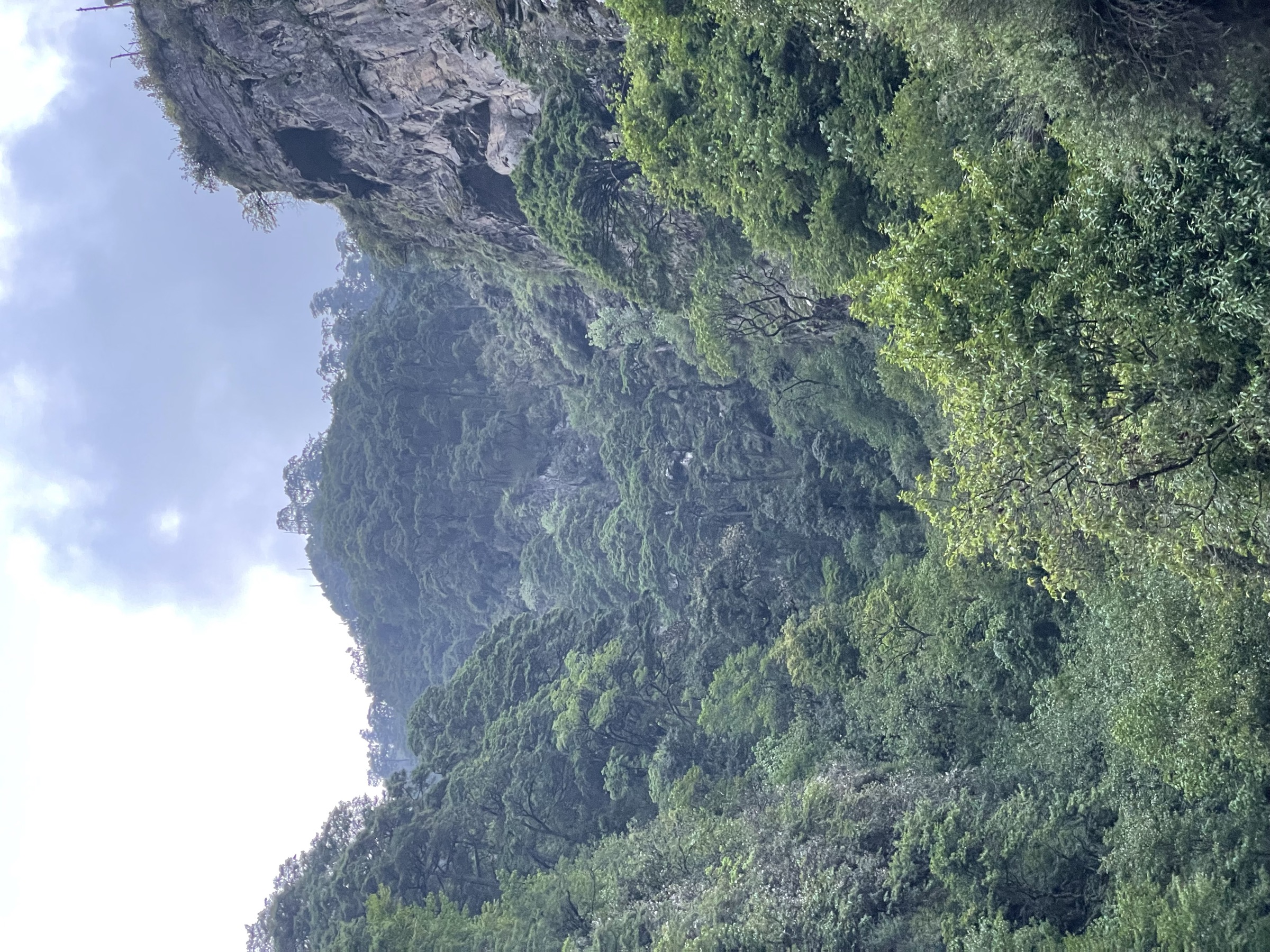 Cliffs bounding New Melling