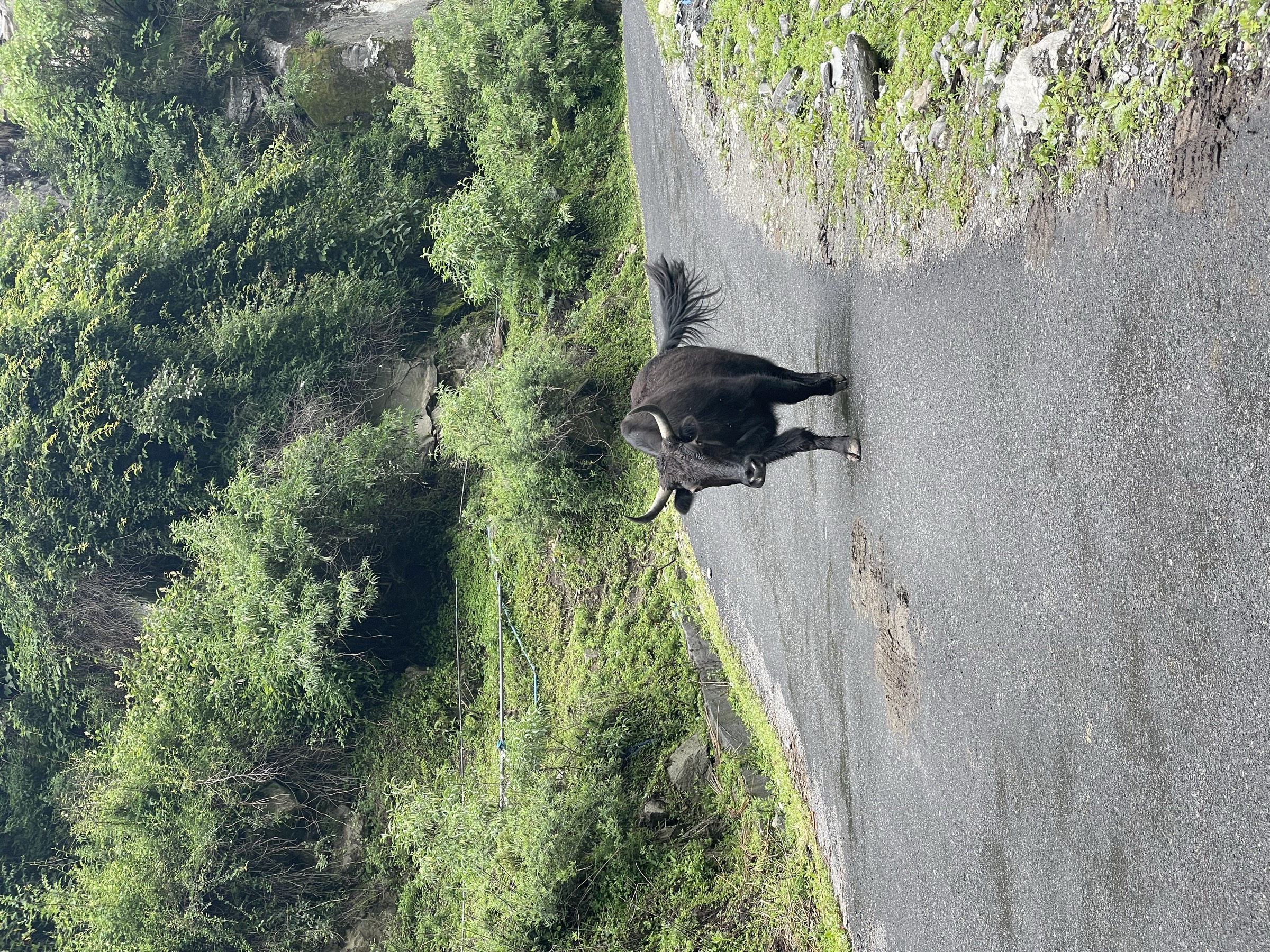 Welcome Party at New Melling